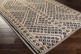 Aishvy Rug