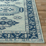 Ojaswi Rug