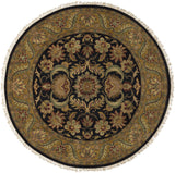 Ashvi Rug