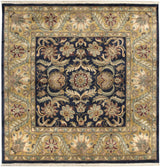 Ashvi Rug