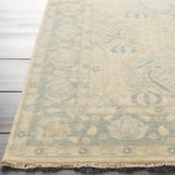 Abhiruchi Rug